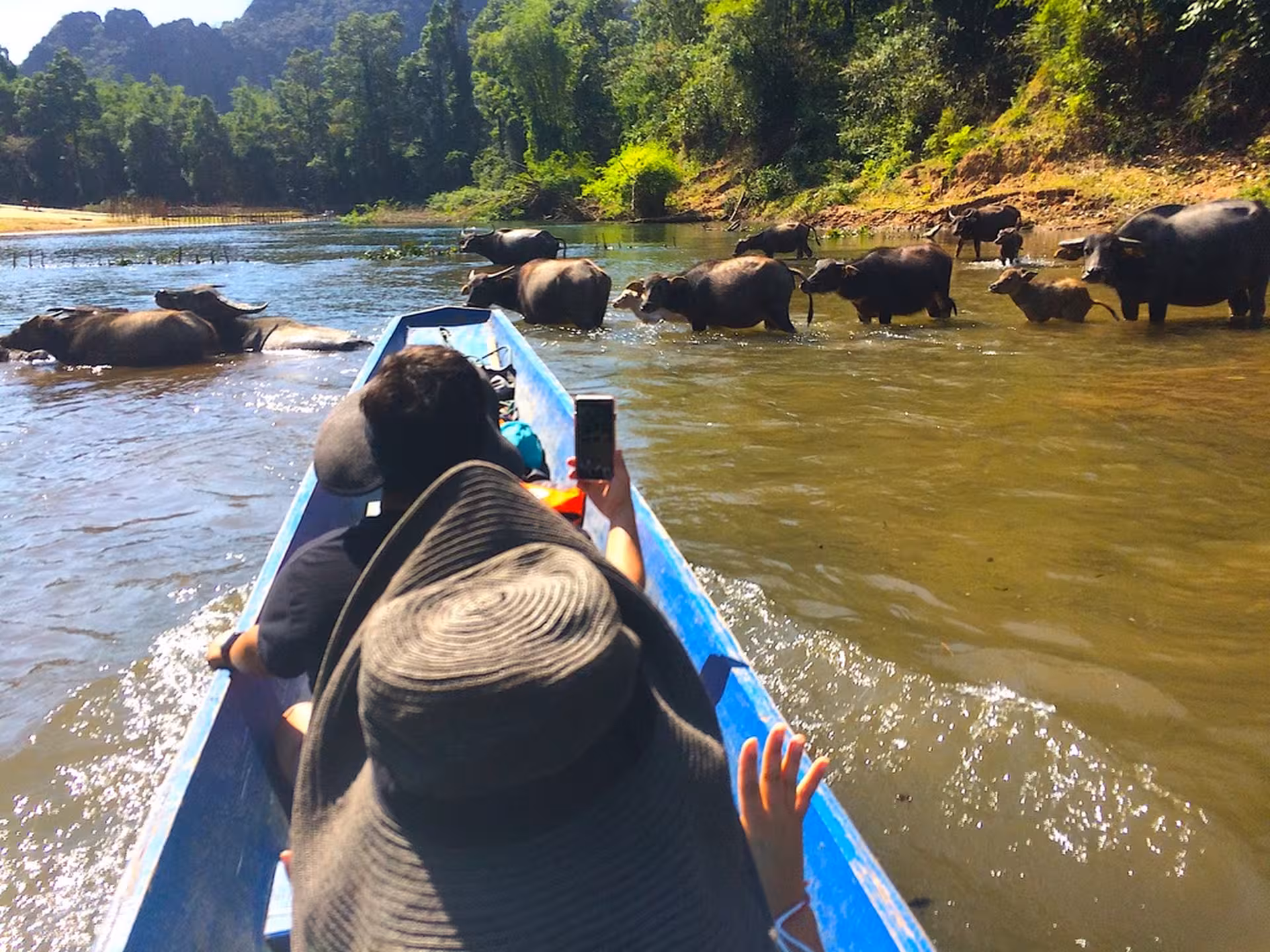 Vegan Travel Asia - Laos