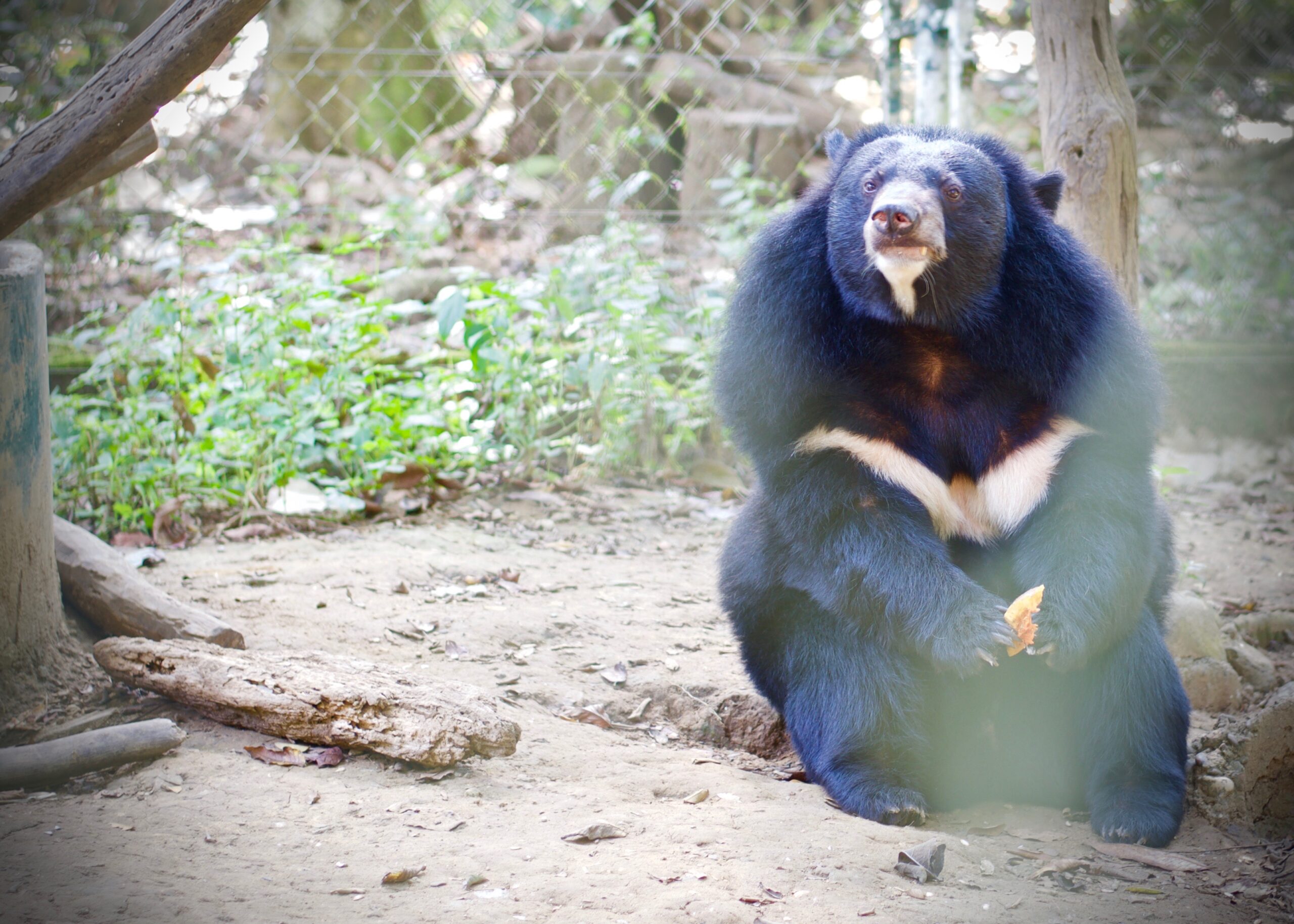 D2CC0C0A D099 4090 AFC4 3F0801C7C37A scaled