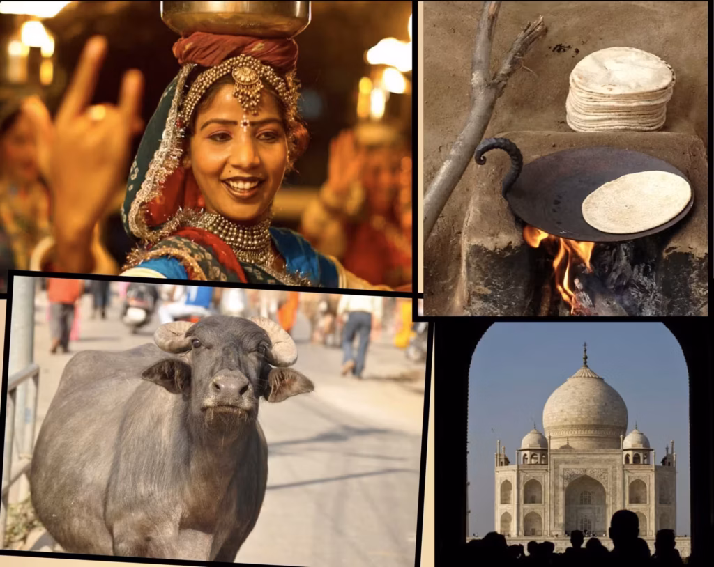 India - Vegan Travel Asia