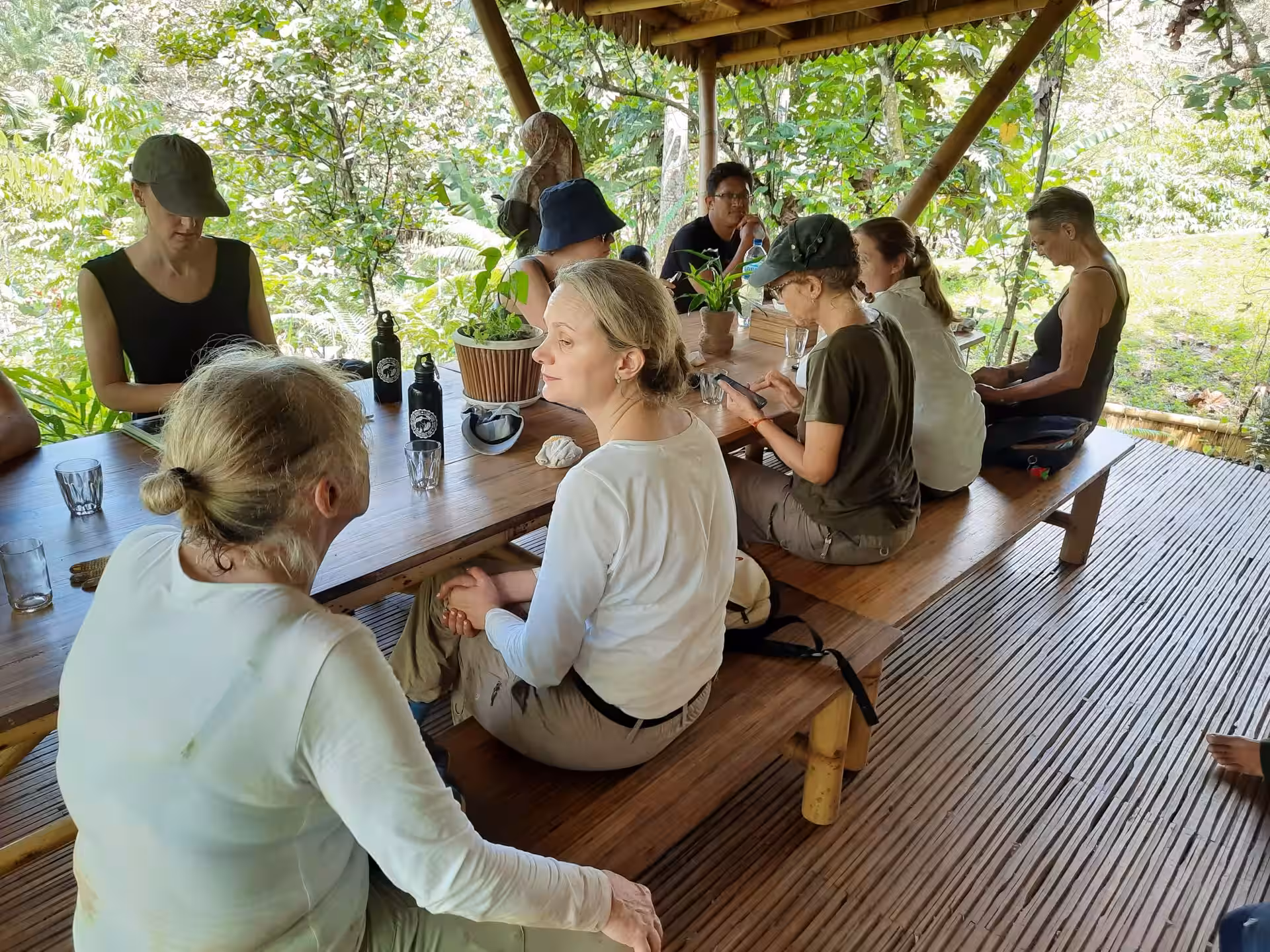 Sumatra SOCP at Orangutan Haven Rewilding Forest 13